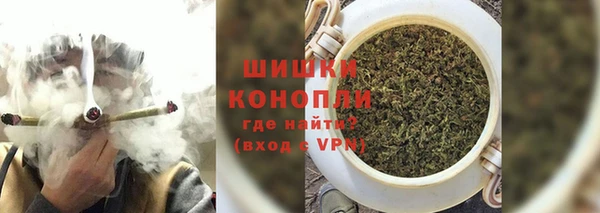 ешки Аркадак