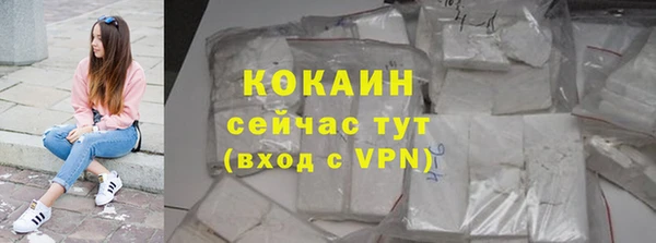 ешки Аркадак
