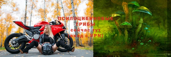 бошки Алзамай