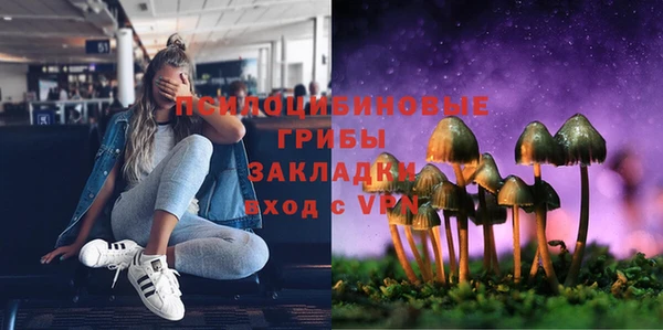 бошки Алзамай