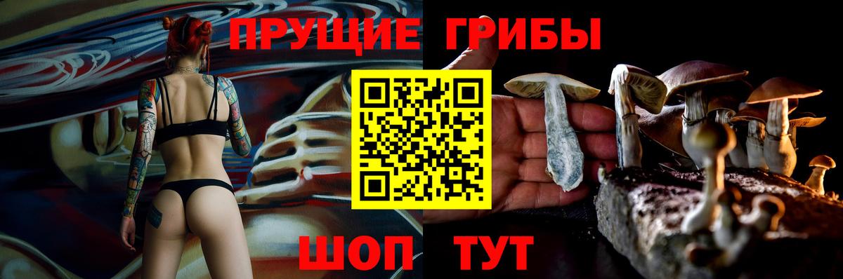 Псилоцибиновые грибы MAGIC MUSHROOMS  Вход с VPN  Пушкино 